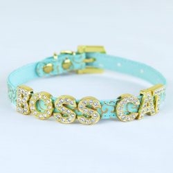 Green cat collar with the letters BOSS CATT