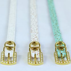 Three cat collars with gold buckles
