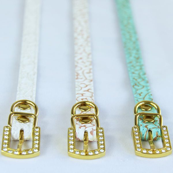 Row of three cat collars with gold buckles