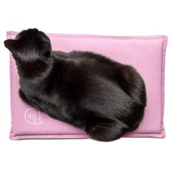 Black cat on pink bed