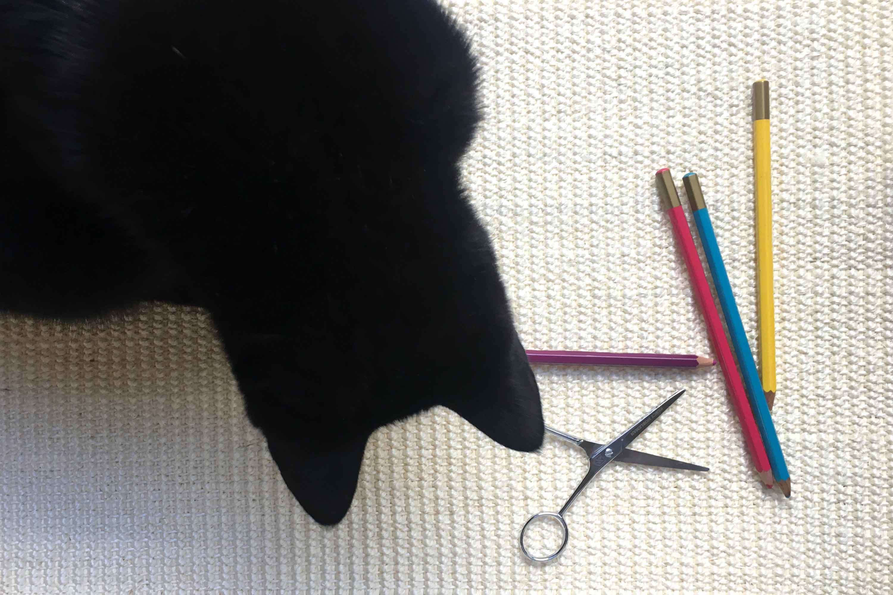 Black cat on sisal fabric